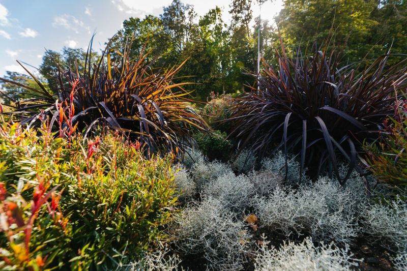 image image (98).jpg